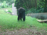 m2005-0652.JPG
